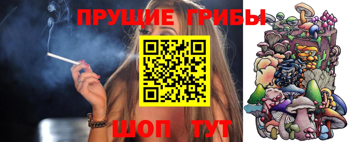 Псилоцибиновые грибы мухоморы  Вход с VPN  купить наркотик  Кашира 