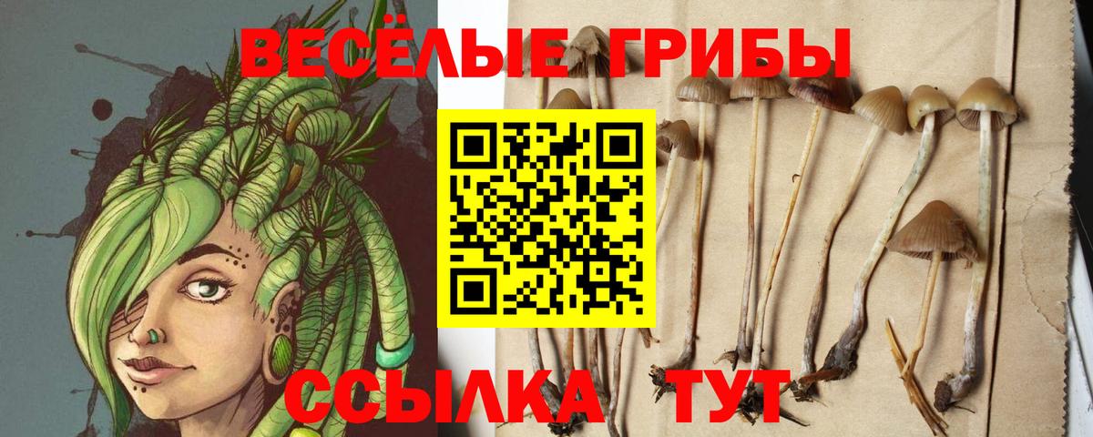 Галлюциногенные грибы MAGIC MUSHROOMS Кашира